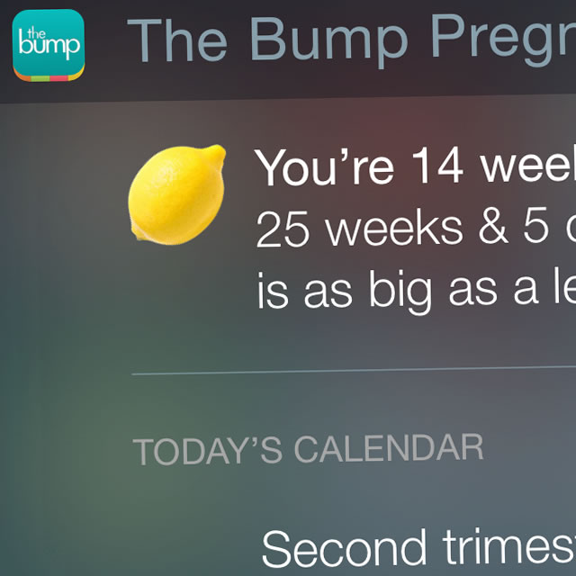 The Bump