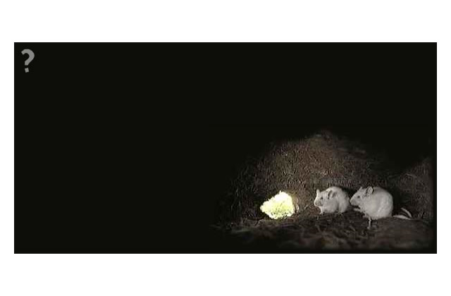 Human Nature - Landing Screen