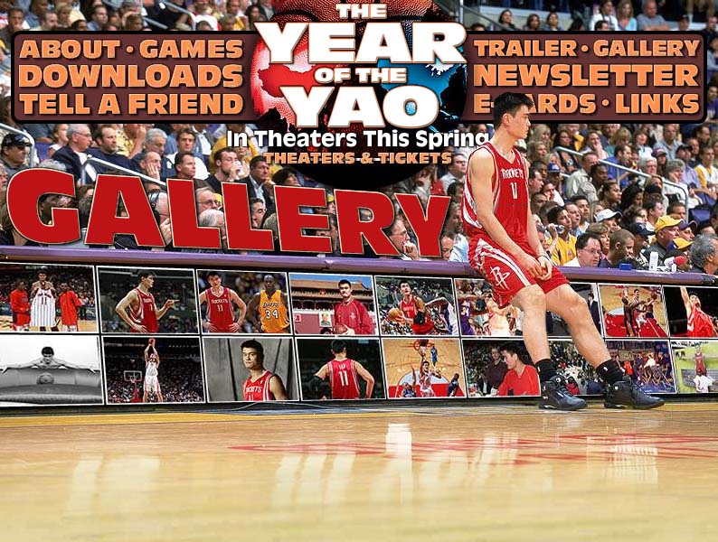The Year of the Yao - Gallery